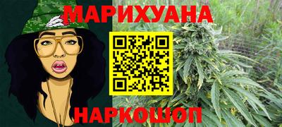 сатива Рязань