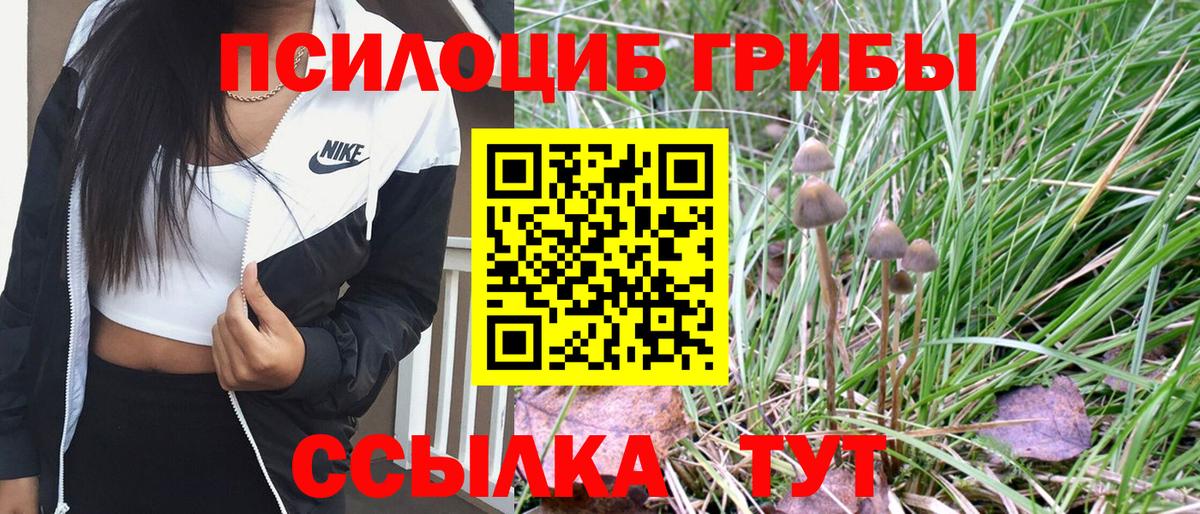 Псилоцибиновые грибы Magic Shrooms Павлово