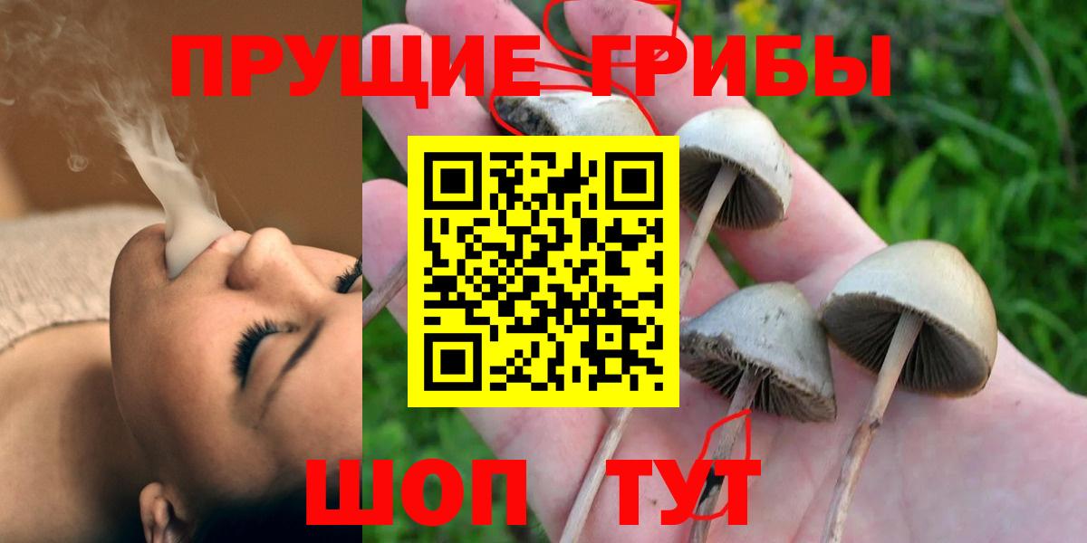 Псилоцибиновые грибы ЛСД  Вход с VPN  Павлово 